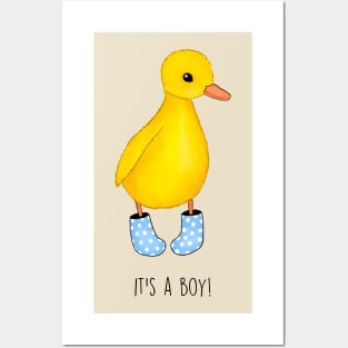 Chicky boy Posters and Art